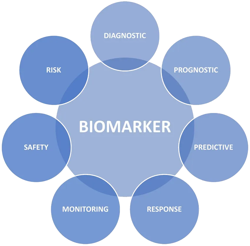 Diagram showing the roles of a biomarker: diagnostic, prognostic, predictive, response, monitoring, safety and risk
